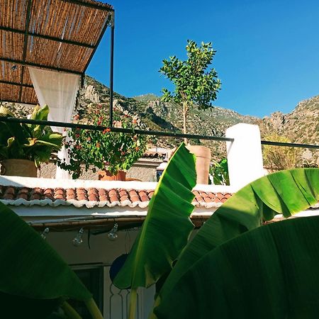 셰프샤우엔 Dar Sbaa B&B 외부 사진